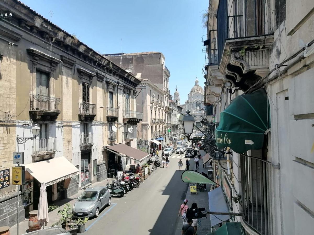 Apartment Dottore 5 - Exclusive *