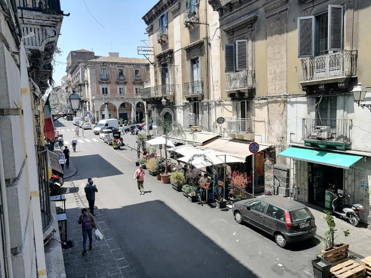 Dottore 5 - Exclusive Apartment