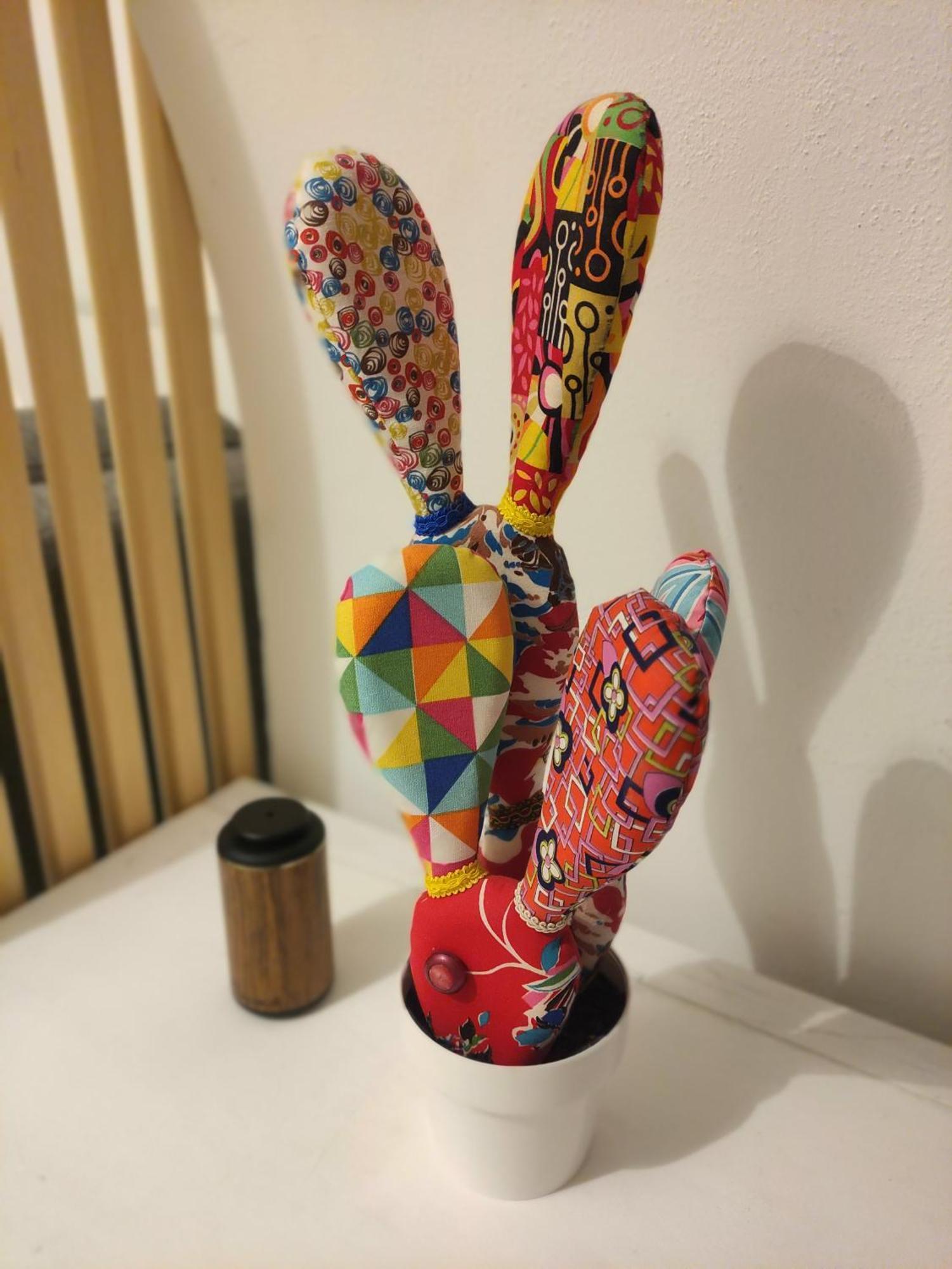 Apartment Dottore 5 - Exclusive